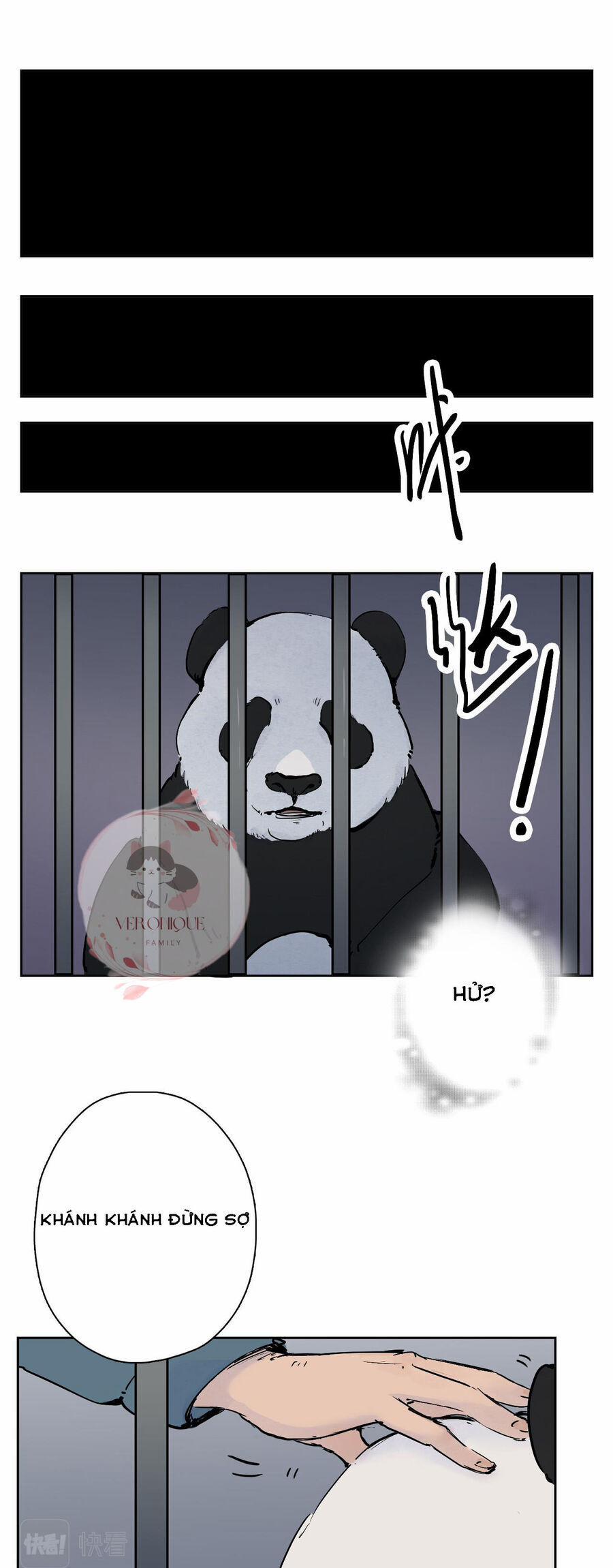 Ngũ Miêu 23 trang 6