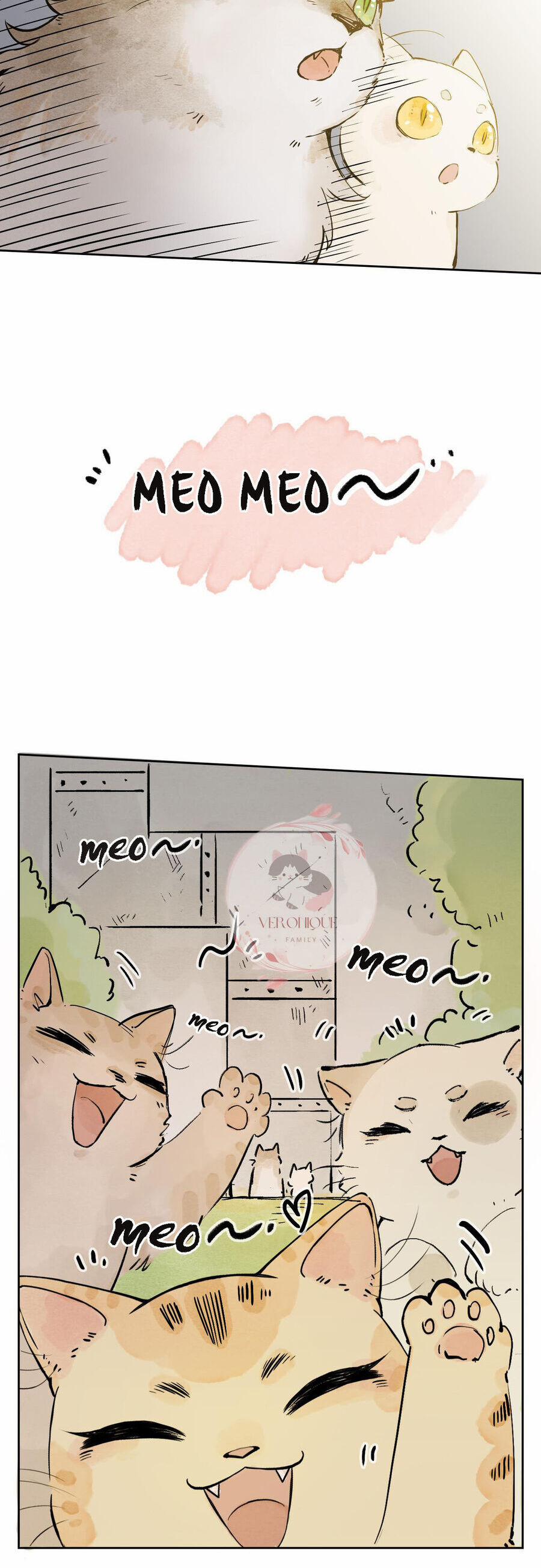 Ngũ Miêu 25 trang 10