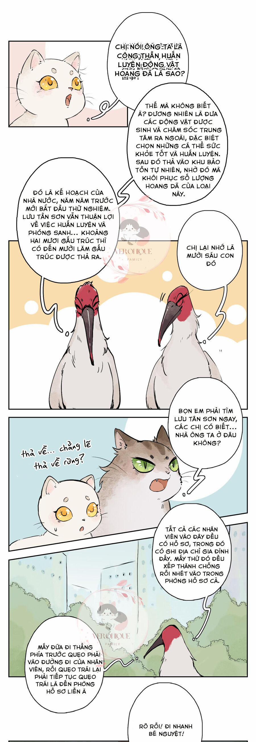 Ngũ Miêu 25 trang 15