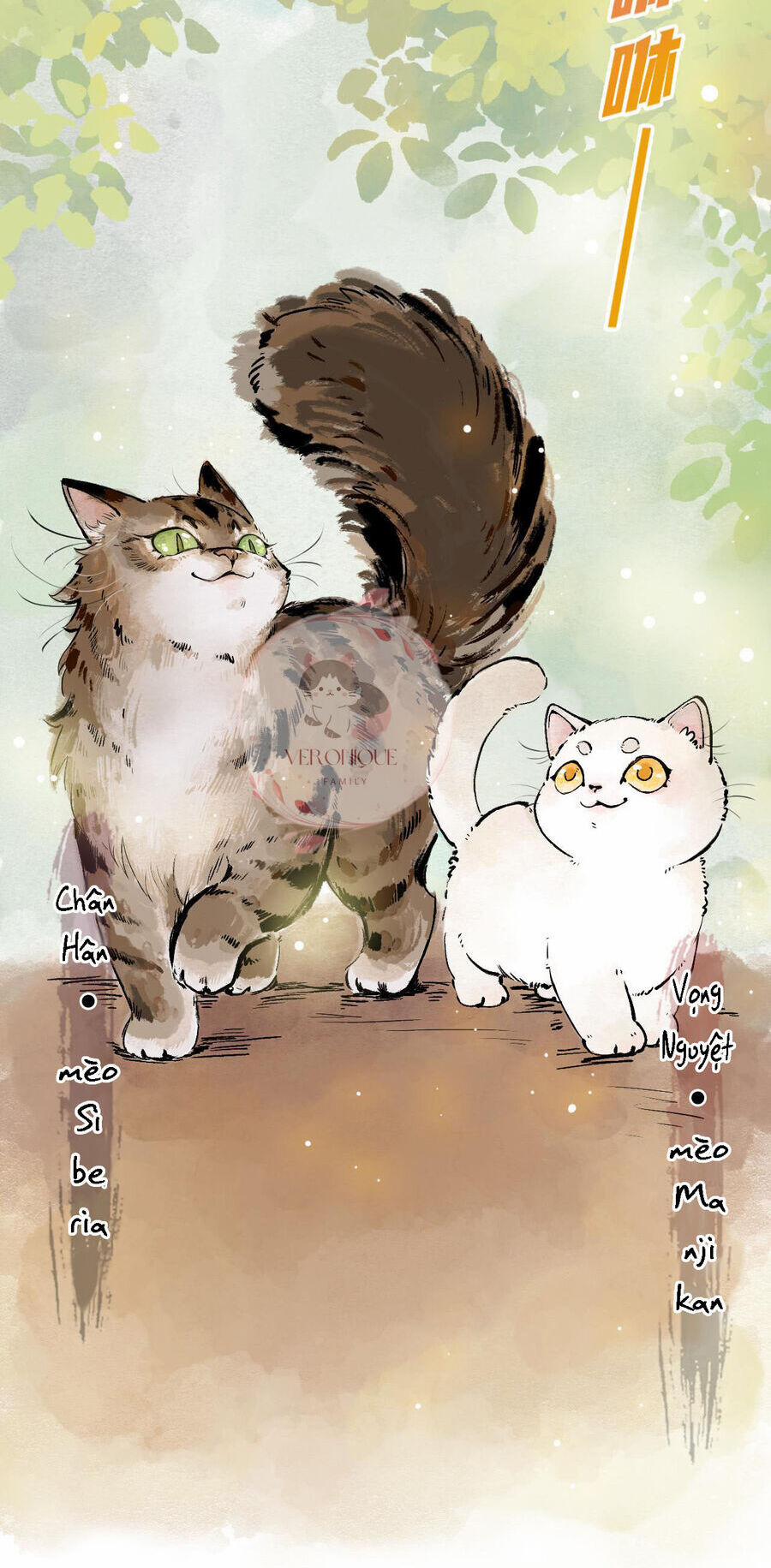 Ngũ Miêu 25 trang 2