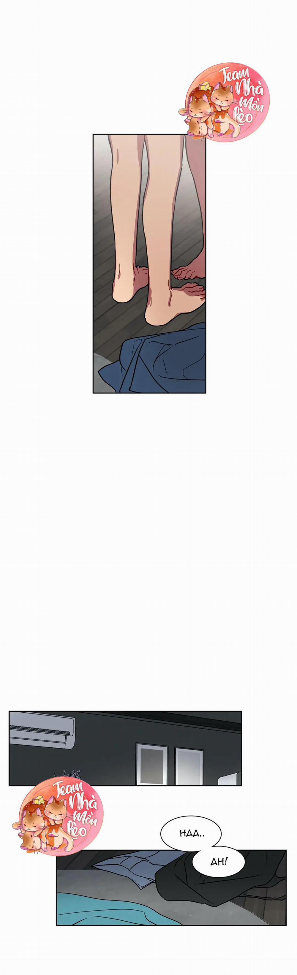 Ngủ Ngon Nhé, Lọ Lem 13 trang 1