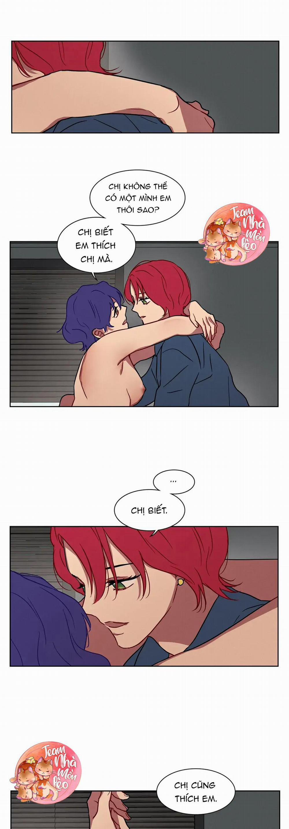 Ngủ Ngon Nhé, Lọ Lem 13 trang 11