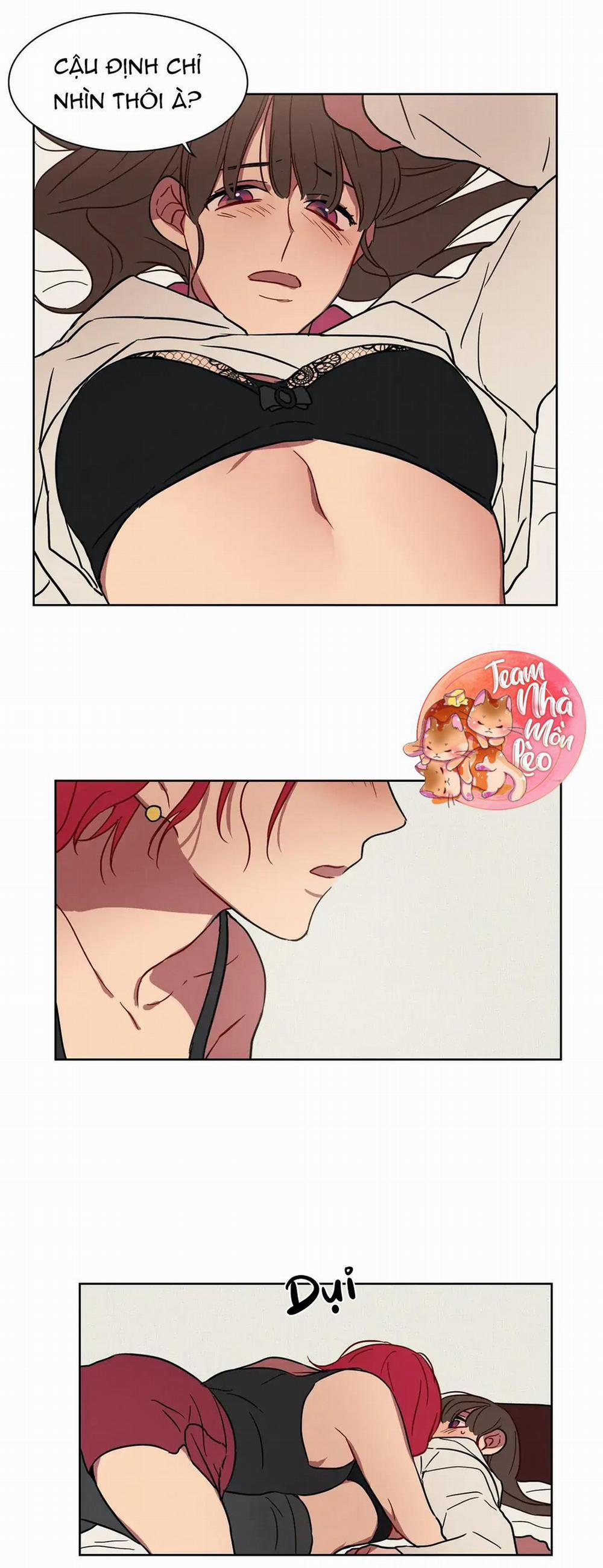 Ngủ Ngon Nhé, Lọ Lem 15 trang 12