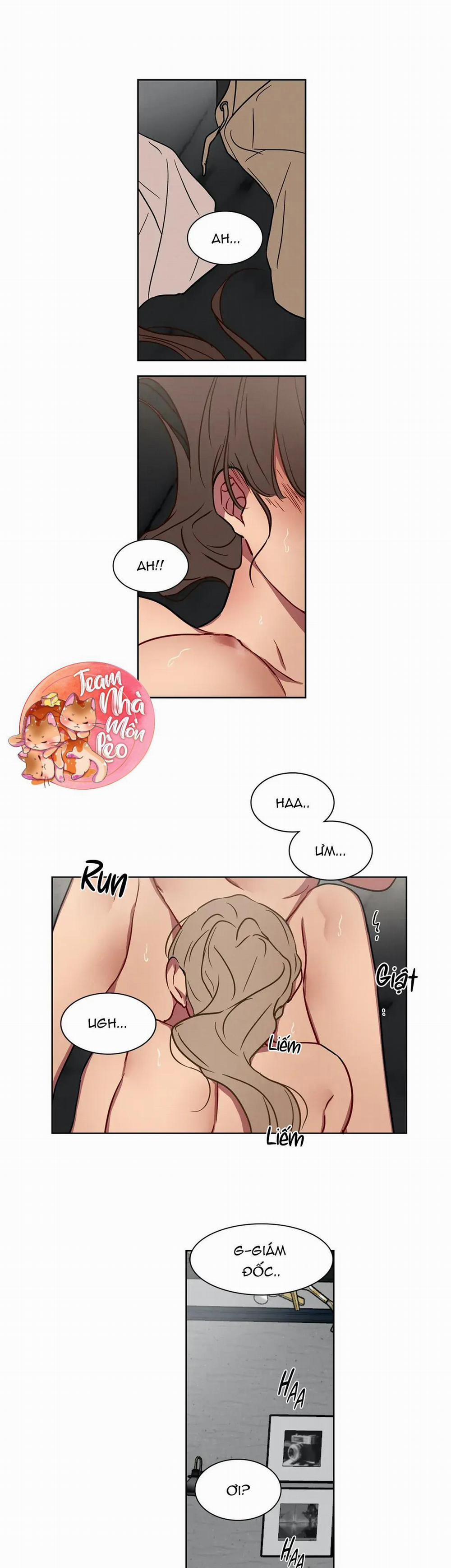 Ngủ Ngon Nhé, Lọ Lem 19 trang 6