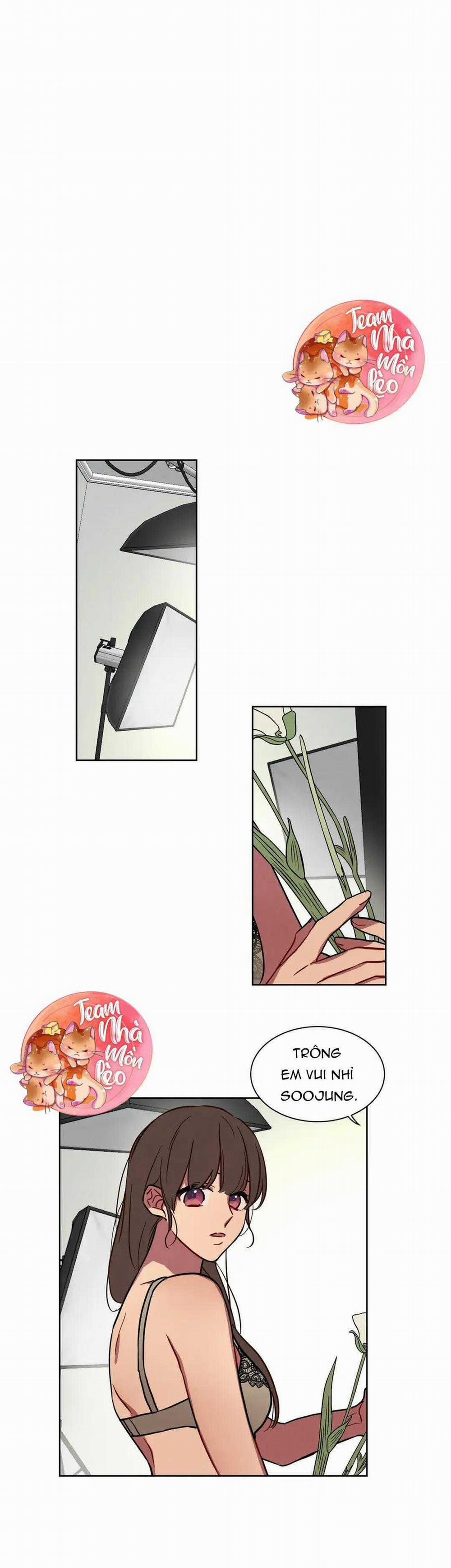 Ngủ Ngon Nhé, Lọ Lem 31 trang 11