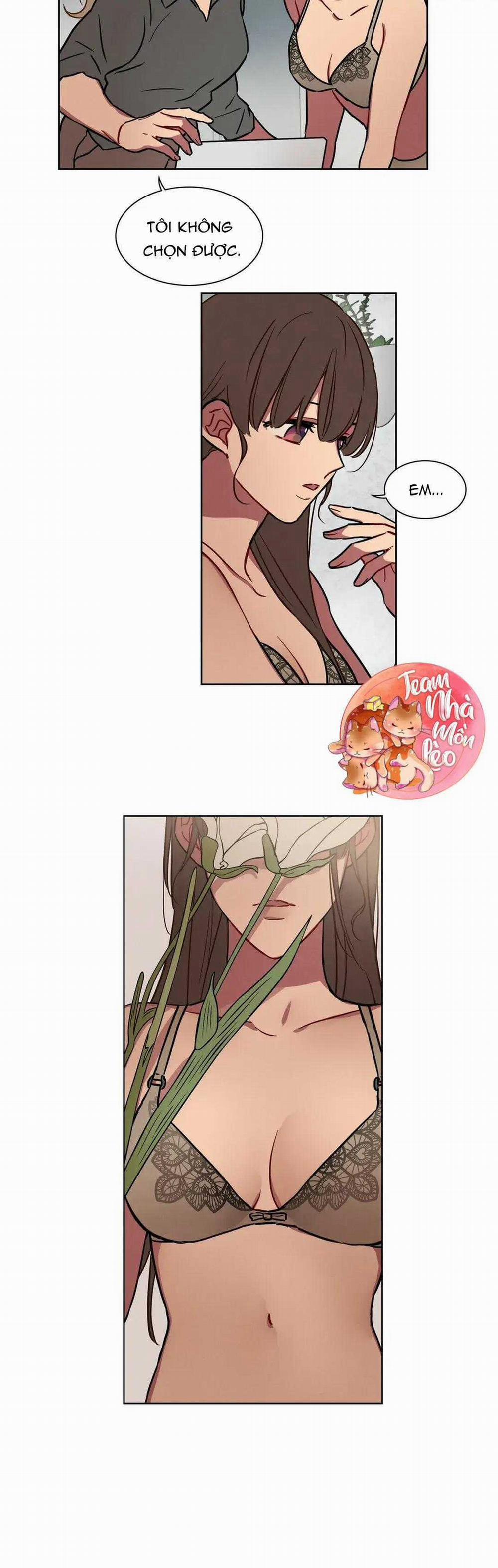 Ngủ Ngon Nhé, Lọ Lem 31 trang 13