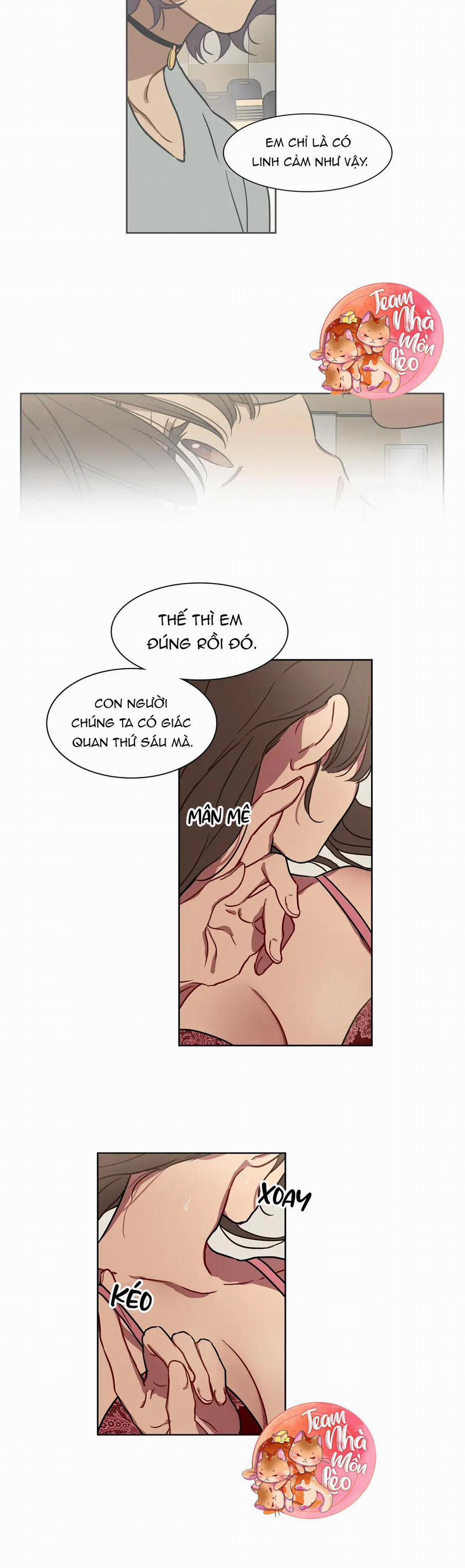 Ngủ Ngon Nhé, Lọ Lem 9 trang 11