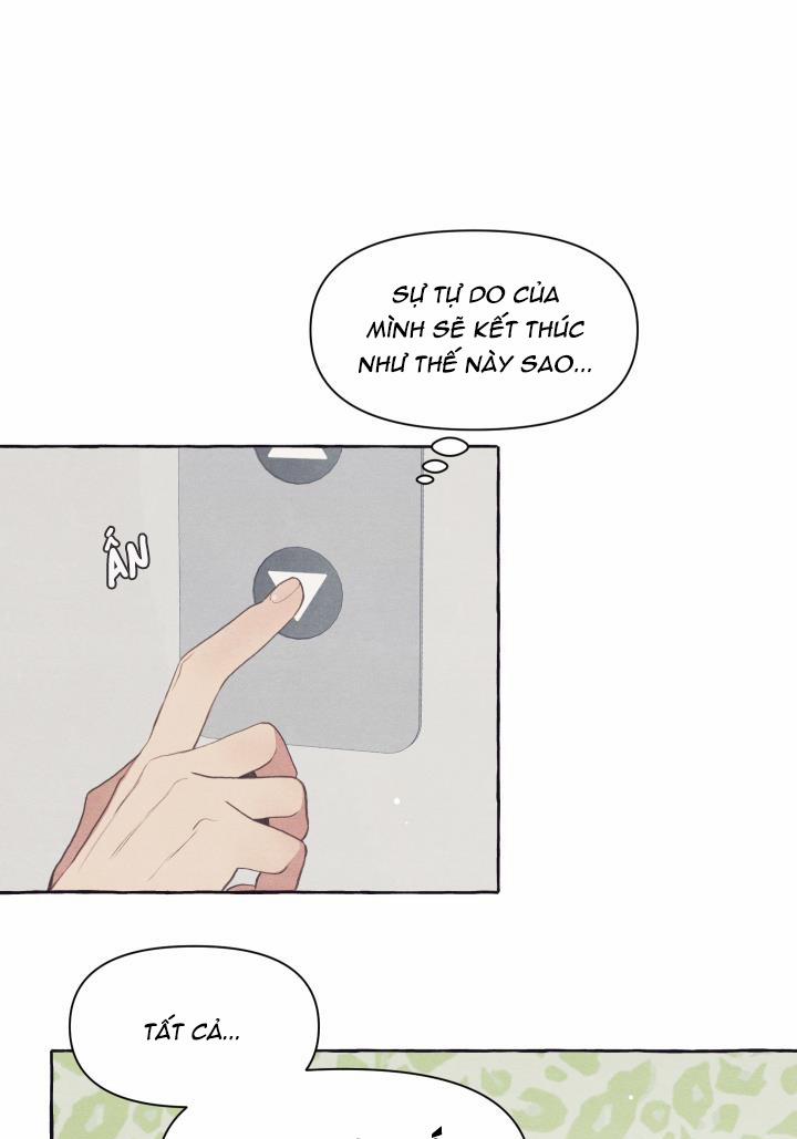 Người Bạn Trên Cầu Ô Thước 26 trang 41