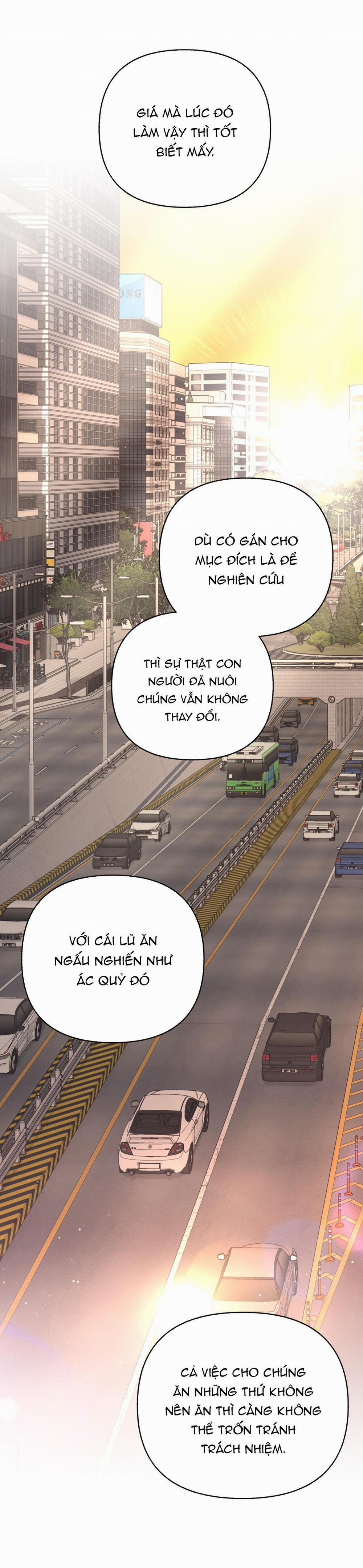 Người Bình Thường Cấp A 51 SS3 trang 7