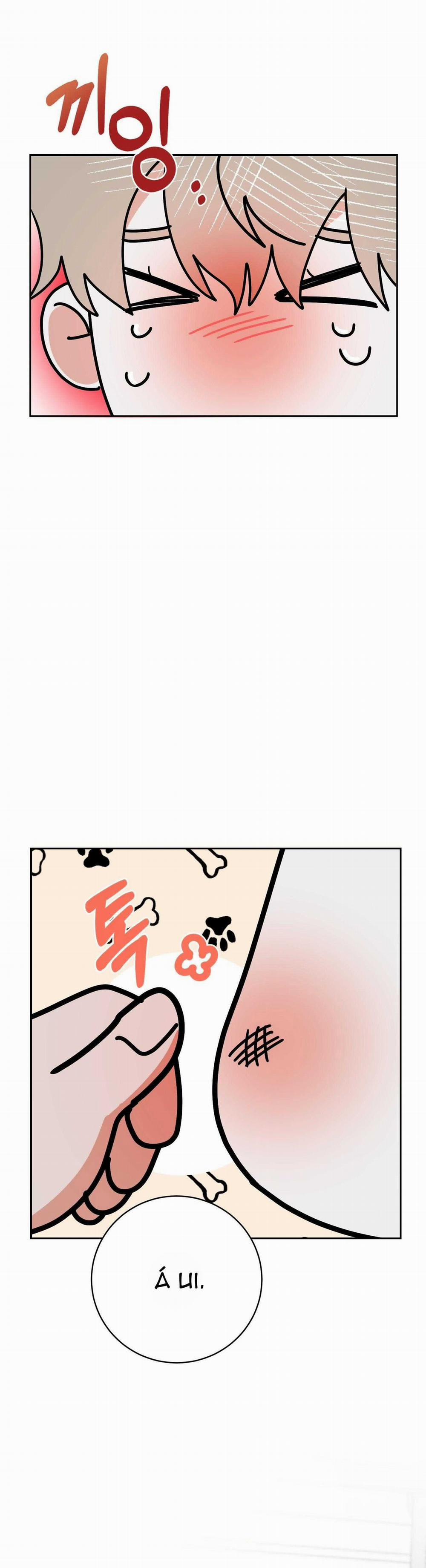 Người Bình Thường Cấp A 60 trang 19