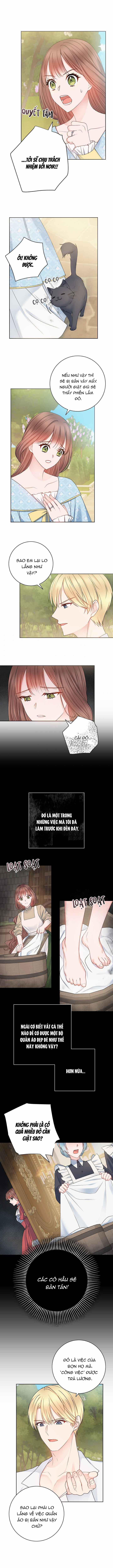 Người Chồng Hợp Đồng Của Tôi 11.5 trang 1