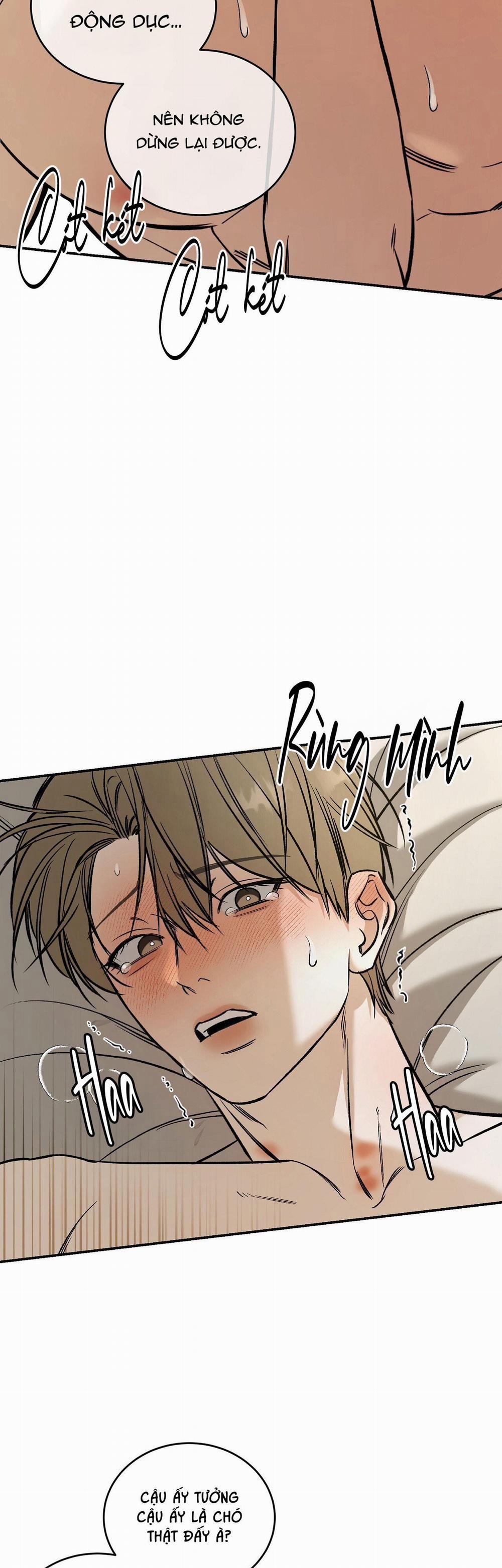 Người Đàn Ông Cho Em Tất Cả 33 trang 26