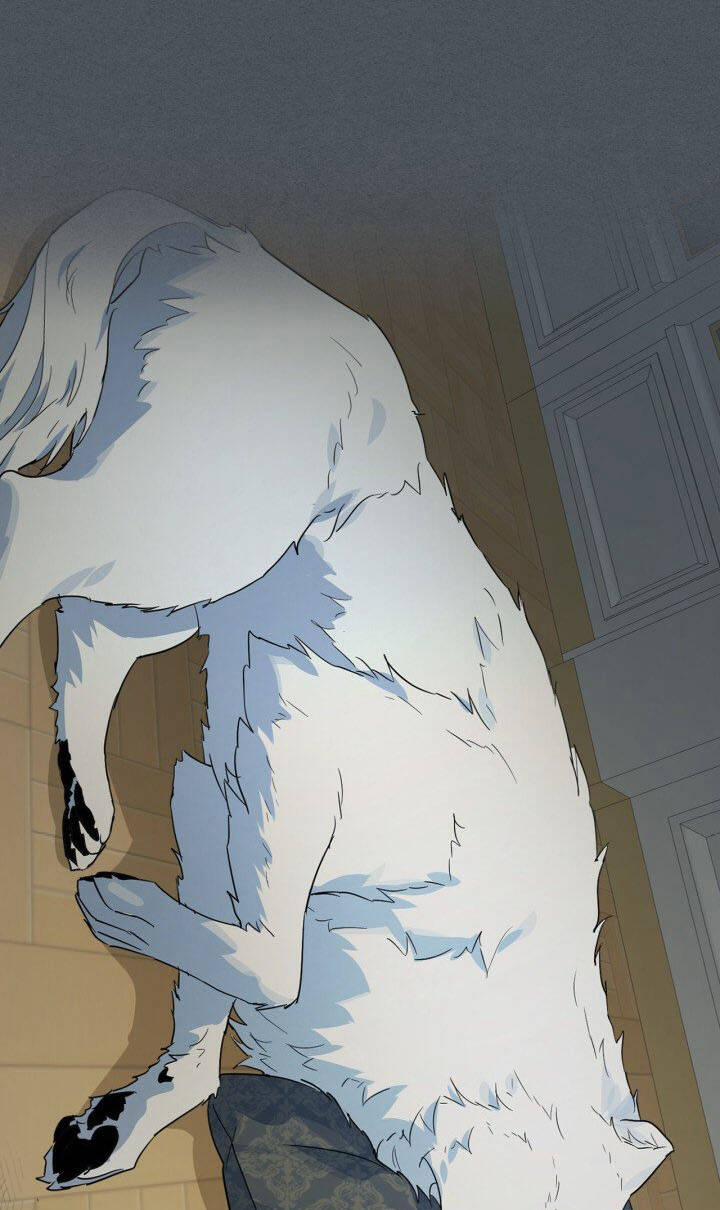 Người Đẹp Và Quái Thú 135.1 trang 37