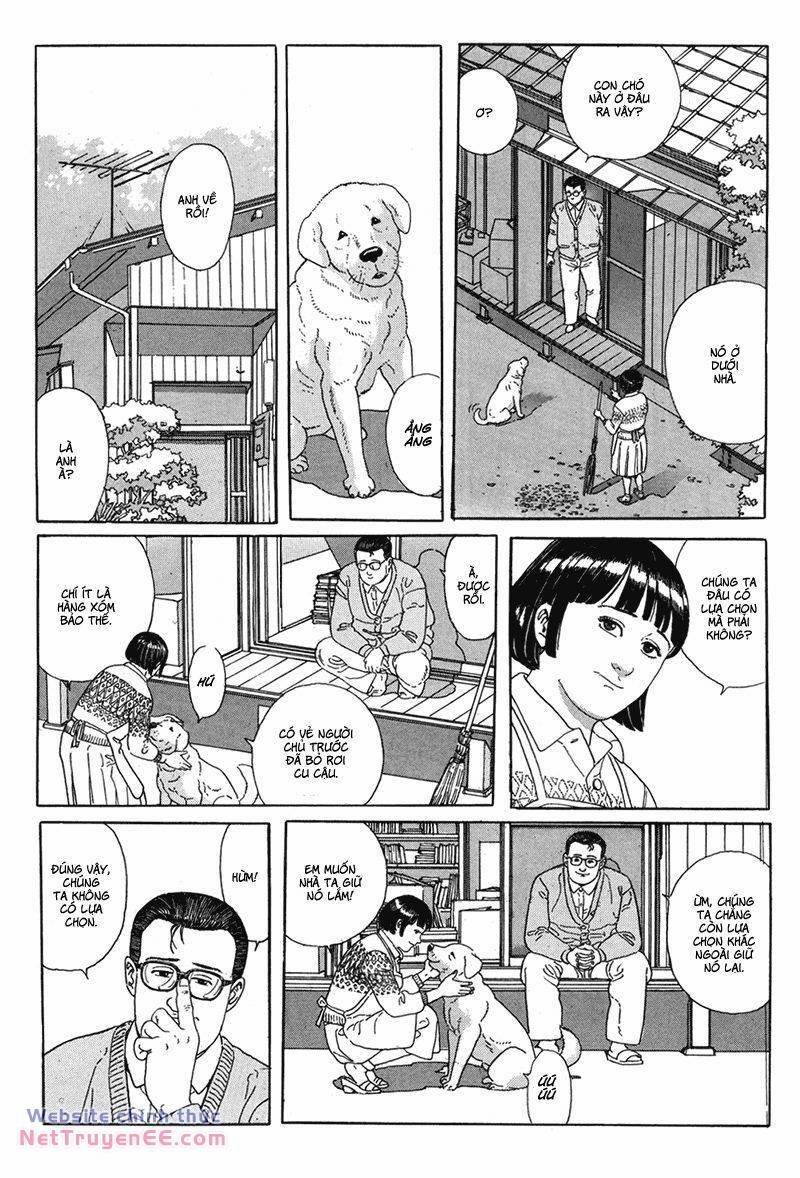 Người Đi Bộ 1 trang 8