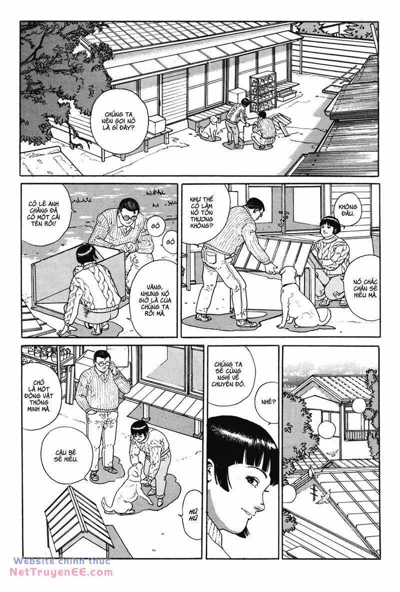 Người Đi Bộ 2 trang 1