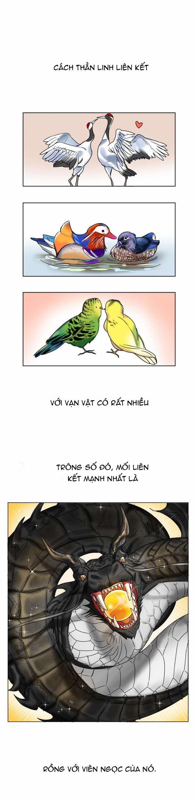 Người Giữ Ngọc 1 trang 0