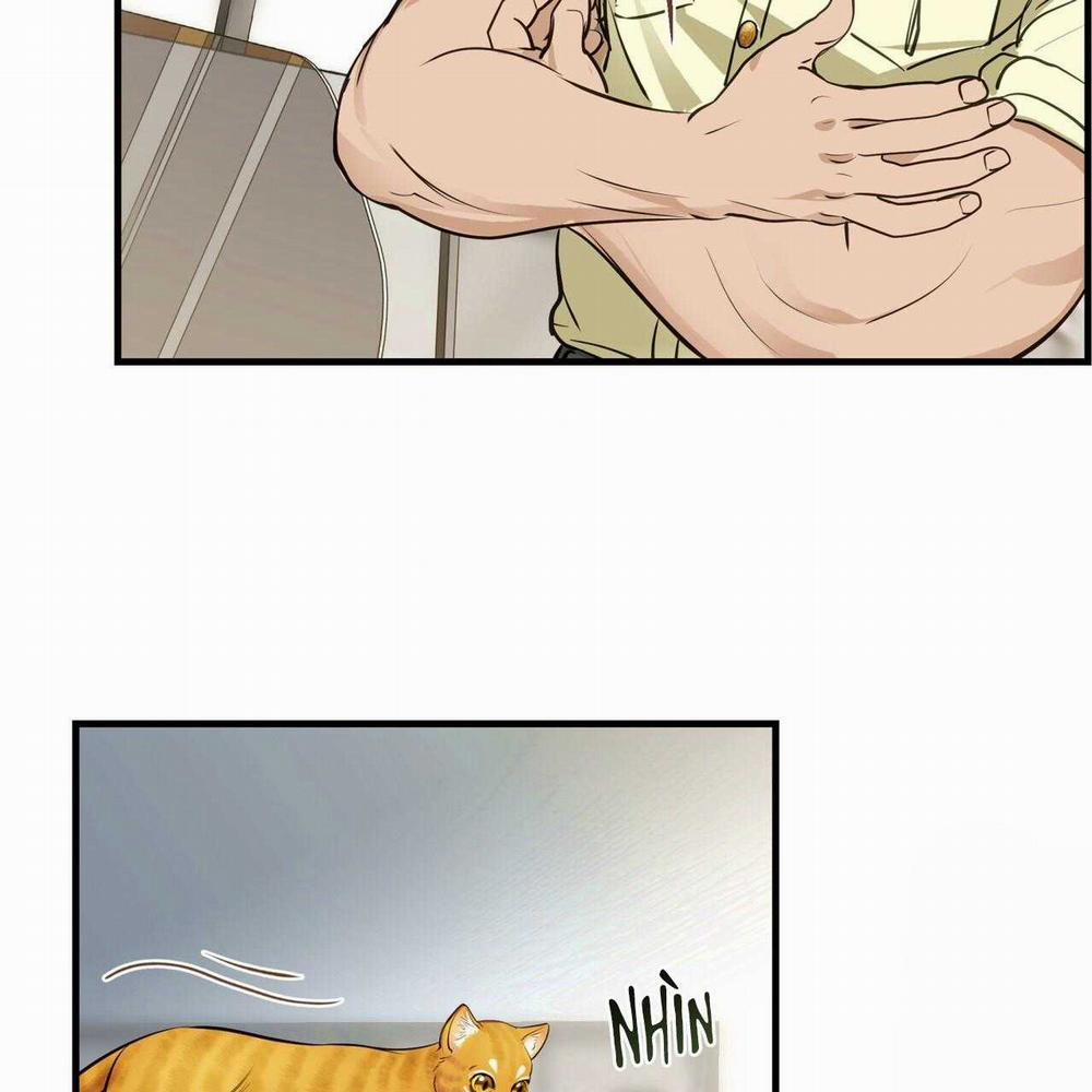 Người Lạ Trong Gương 13 trang 11