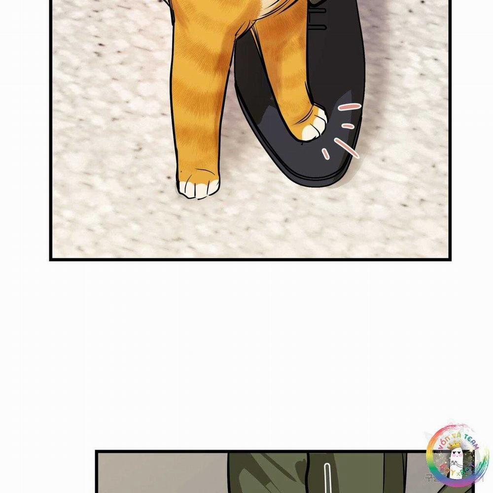 Người Lạ Trong Gương 13 trang 26