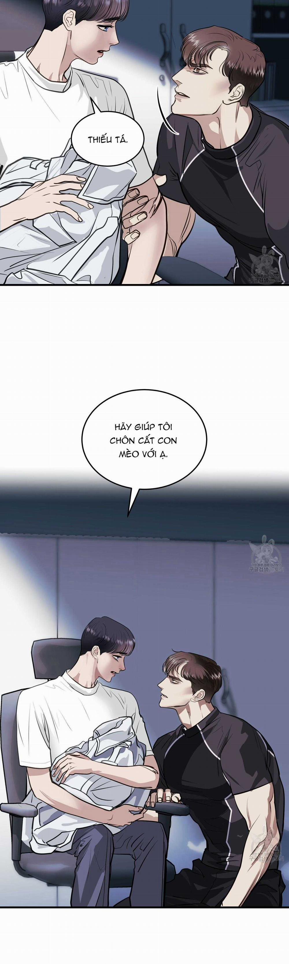 Người Lạ Trong Gương 16 trang 28