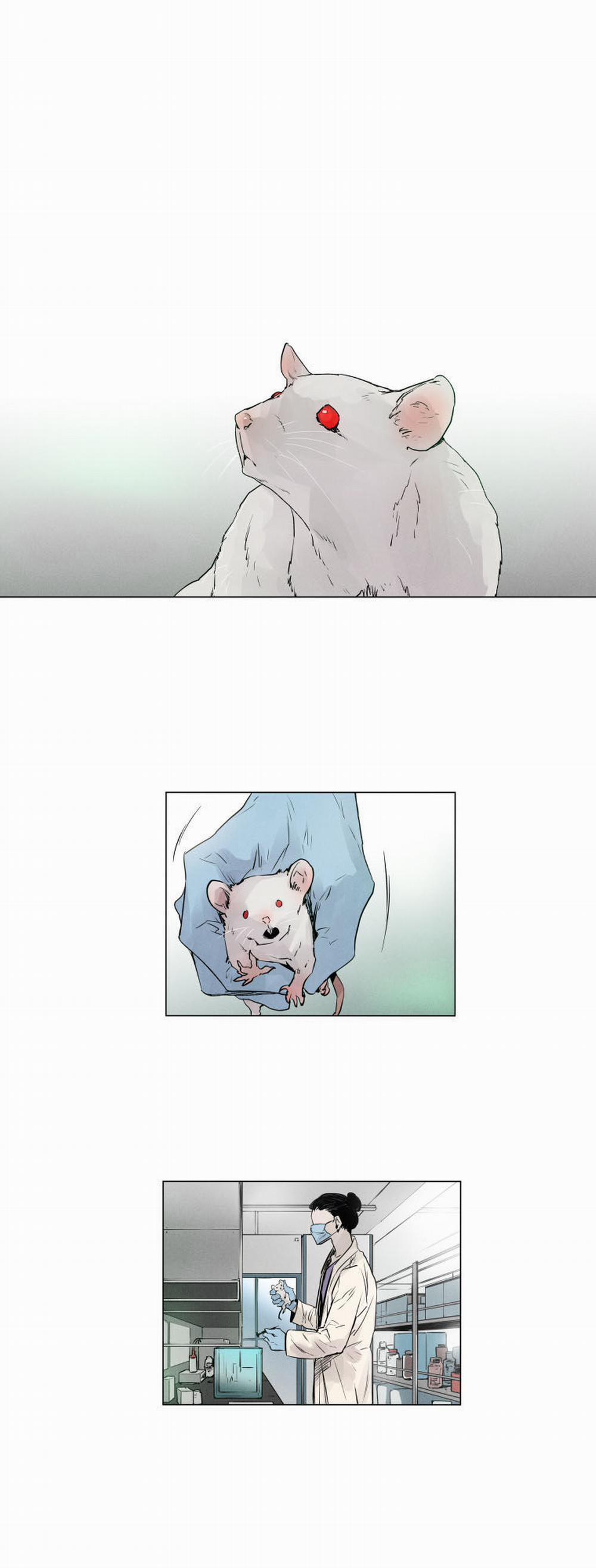 Người Lạ Trong Gương 4 trang 0