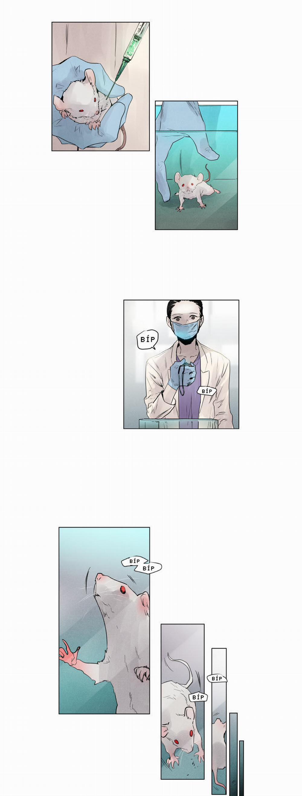 Người Lạ Trong Gương 4 trang 1