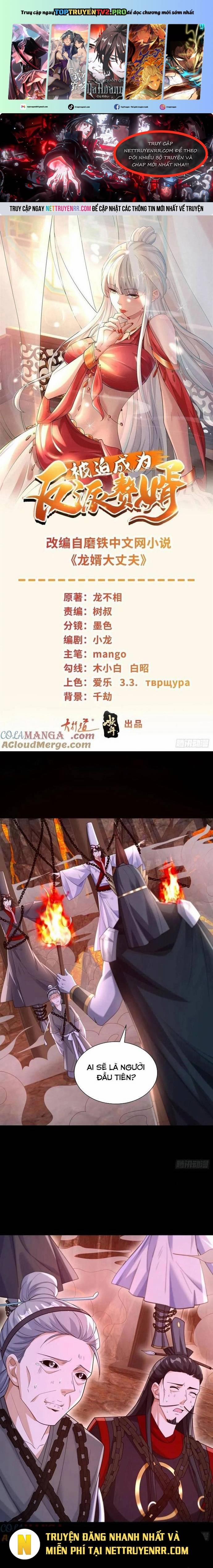 Người Ở Rể Bị Ép Thành Phản Diện 648 trang 0