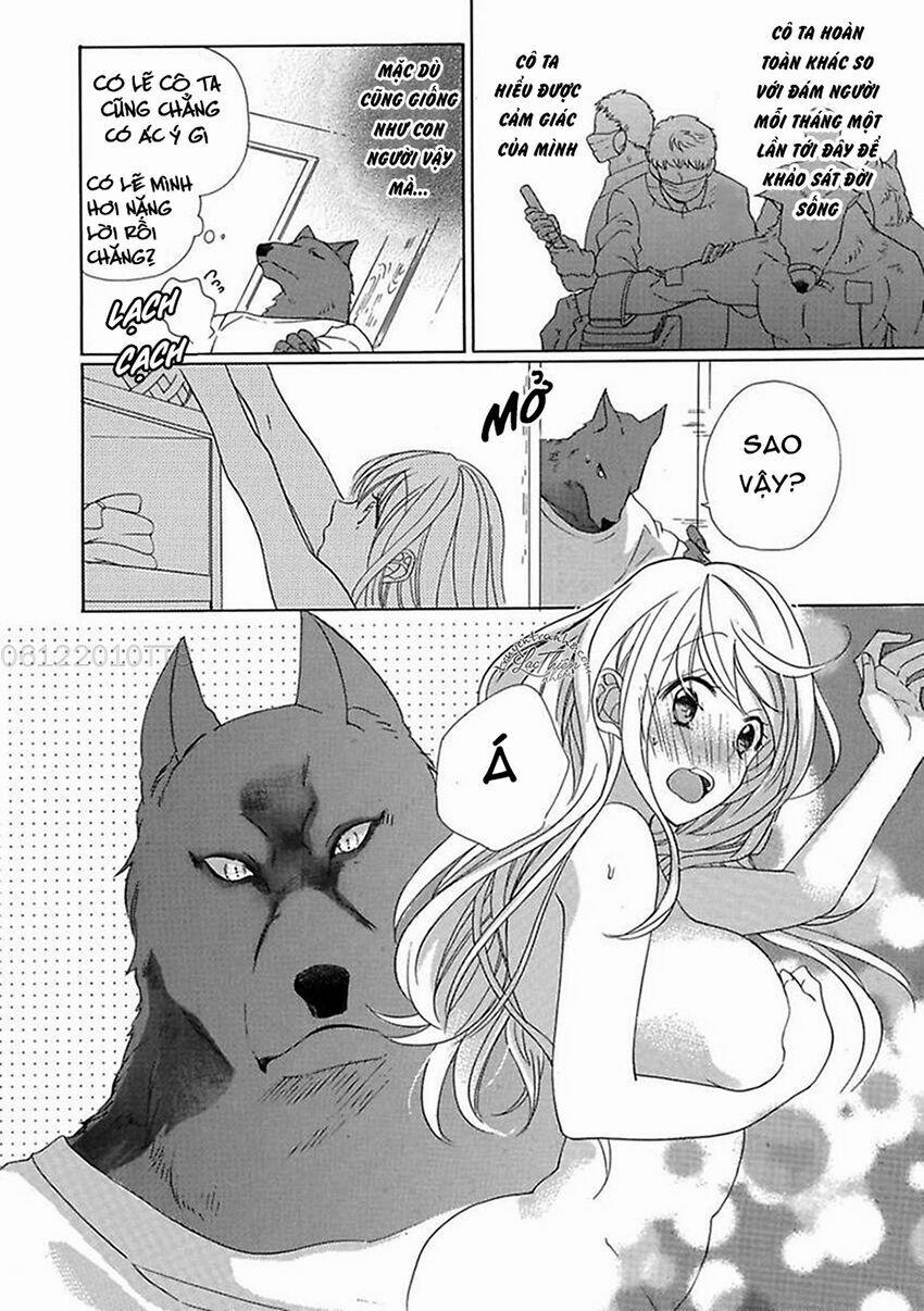 Người Thú Và Hana-Chan 1 trang 19