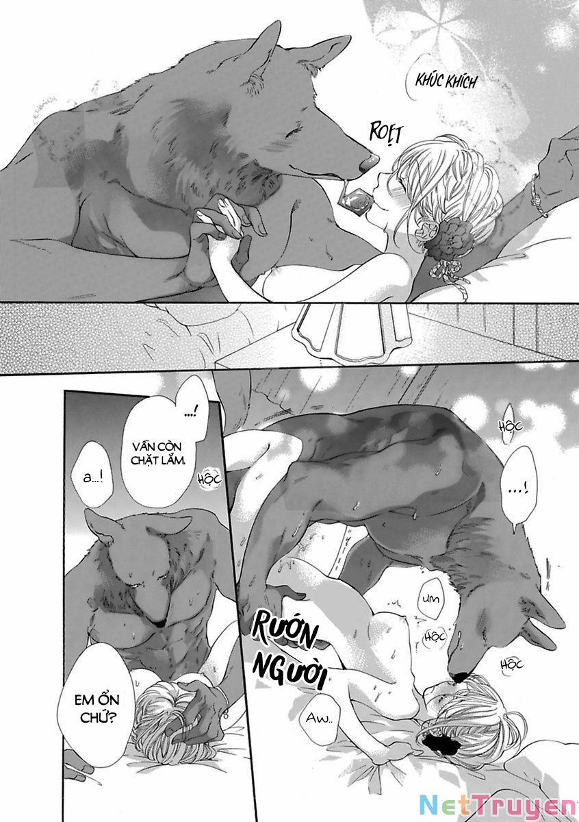 Người Thú Và Hana-Chan 16 trang 9