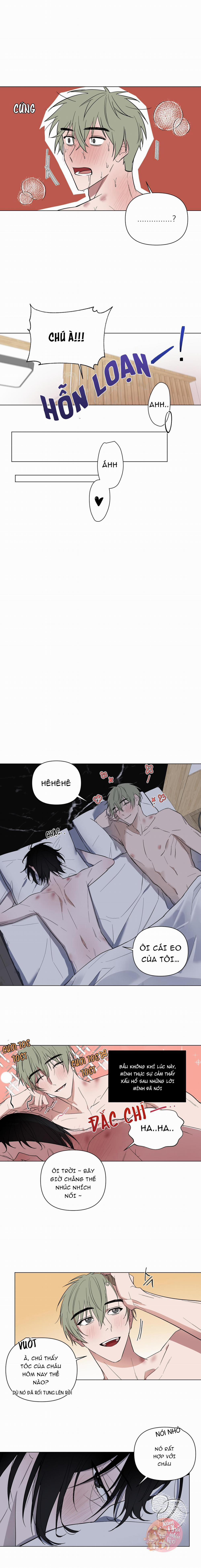 Người Tình Bé Nhỏ 33 trang 6