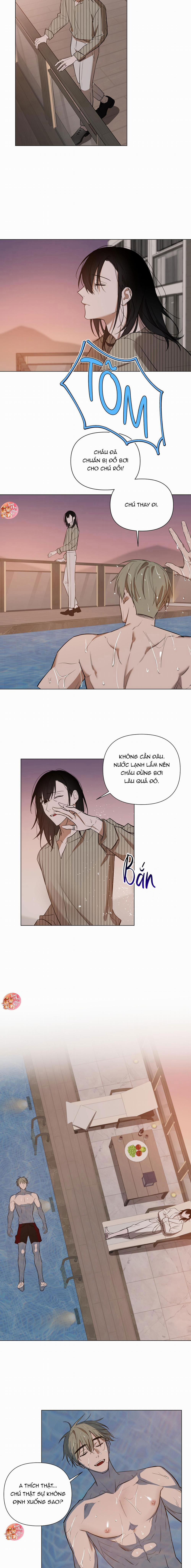 Người Tình Bé Nhỏ 48 trang 11