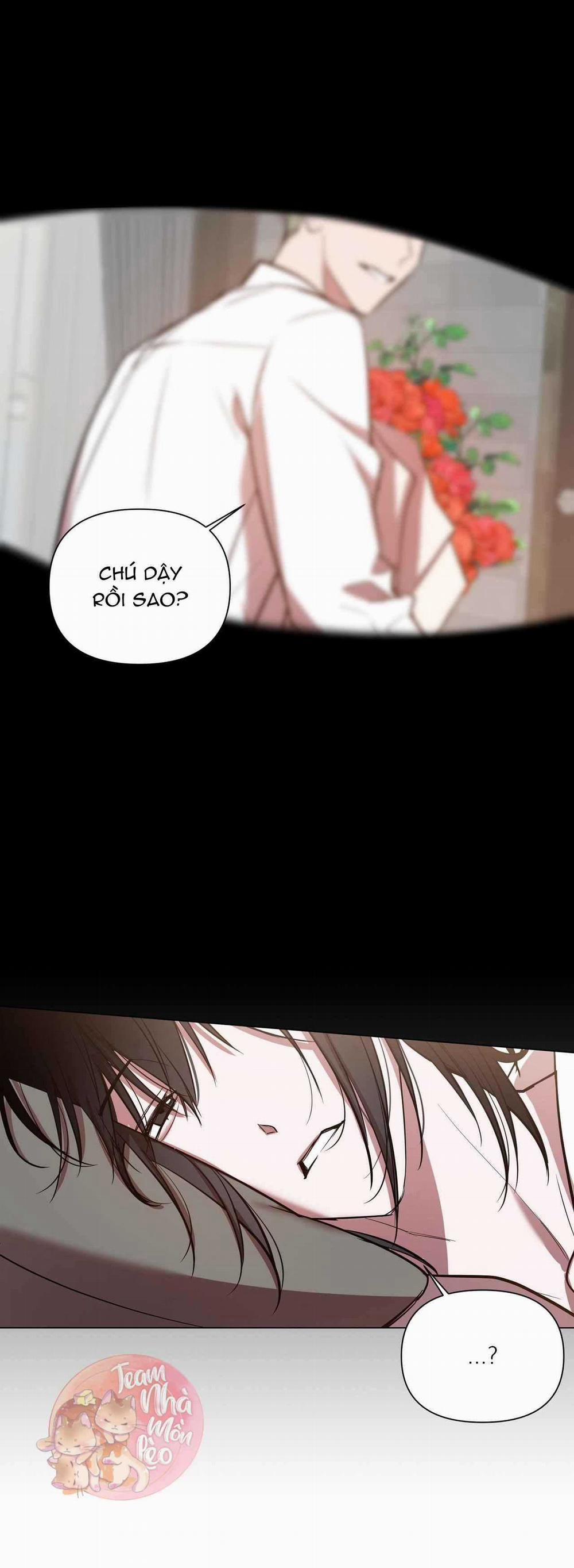 Người Tình Bé Nhỏ 50 trang 37