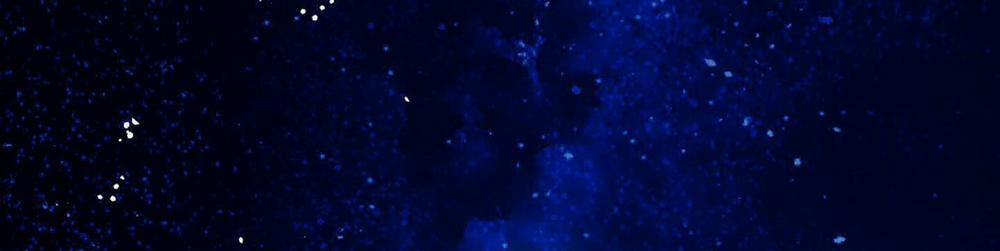 Người Tình Của Sura 71 trang 317