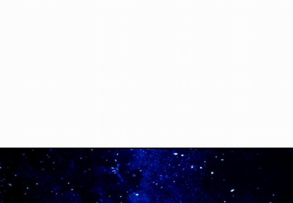 Người Tình Của Sura 87 trang 24