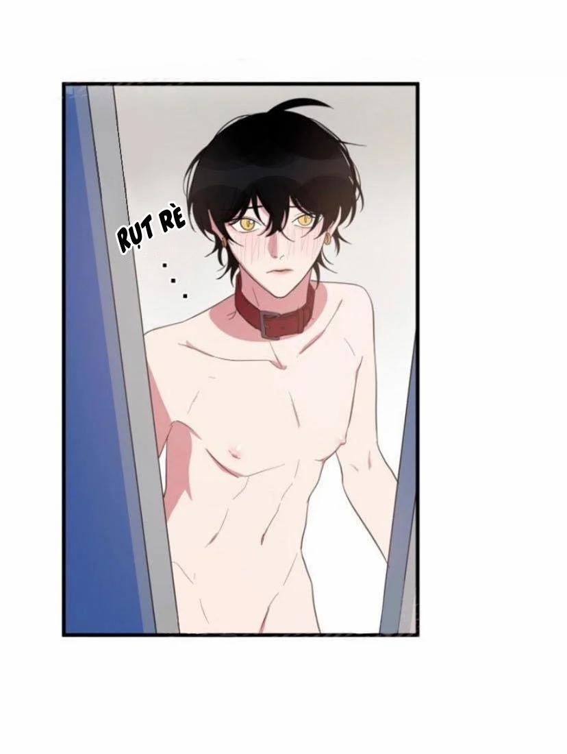 Người Tình Dâm Đãng Của Tôi 10 trang 8