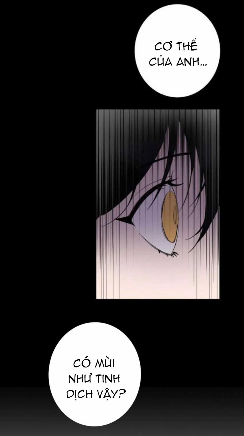 Người Tình Dâm Đãng Của Tôi 11 trang 19