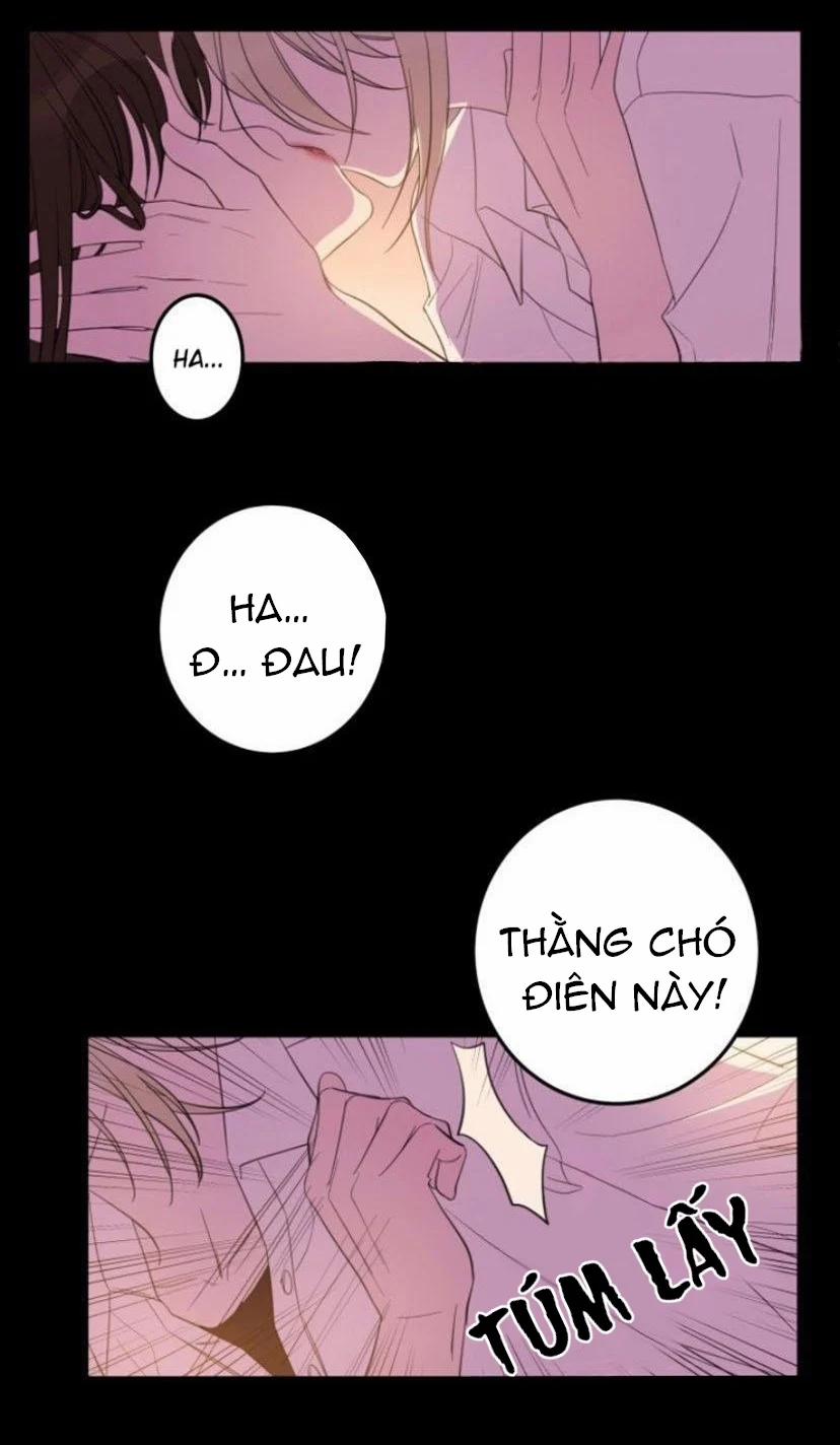 Người Tình Dâm Đãng Của Tôi 12 trang 10