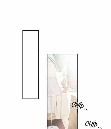 Người Tình Dâm Đãng Của Tôi 19 trang 9