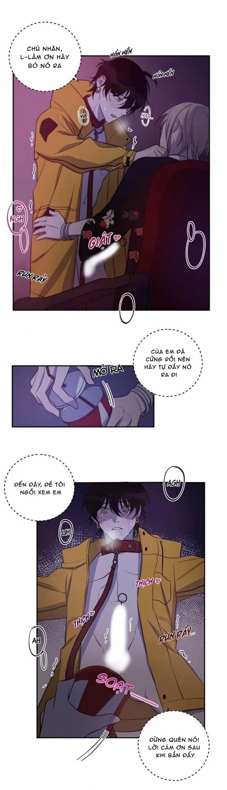 Người Tình Dâm Đãng Của Tôi 25 trang 14