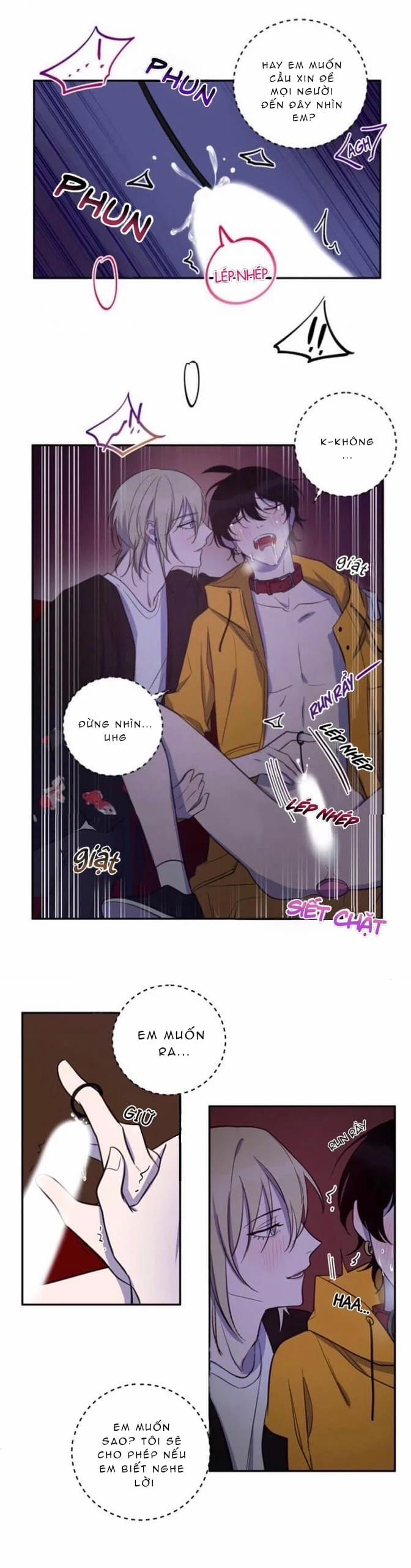 Người Tình Dâm Đãng Của Tôi 25 trang 4