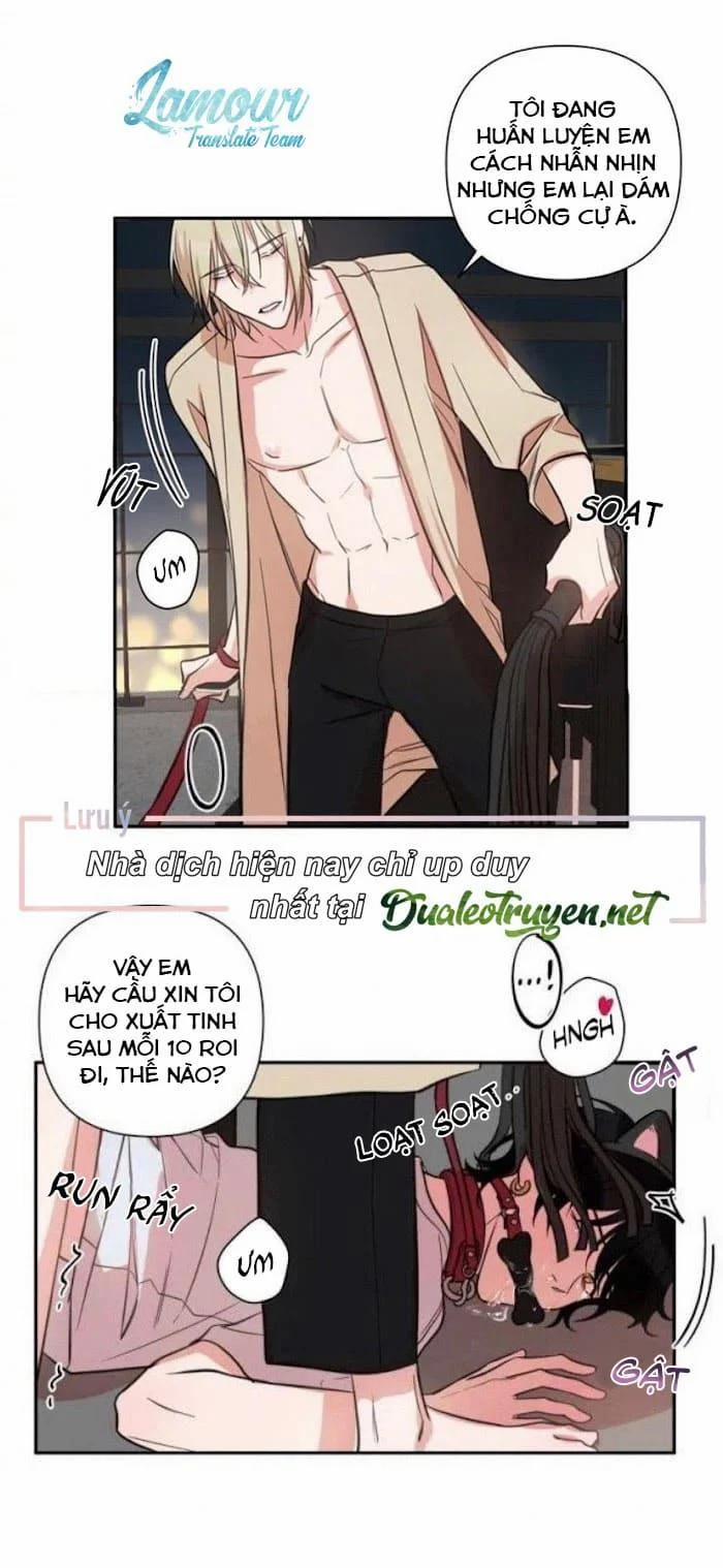 Người Tình Dâm Đãng Của Tôi 29.5 trang 0