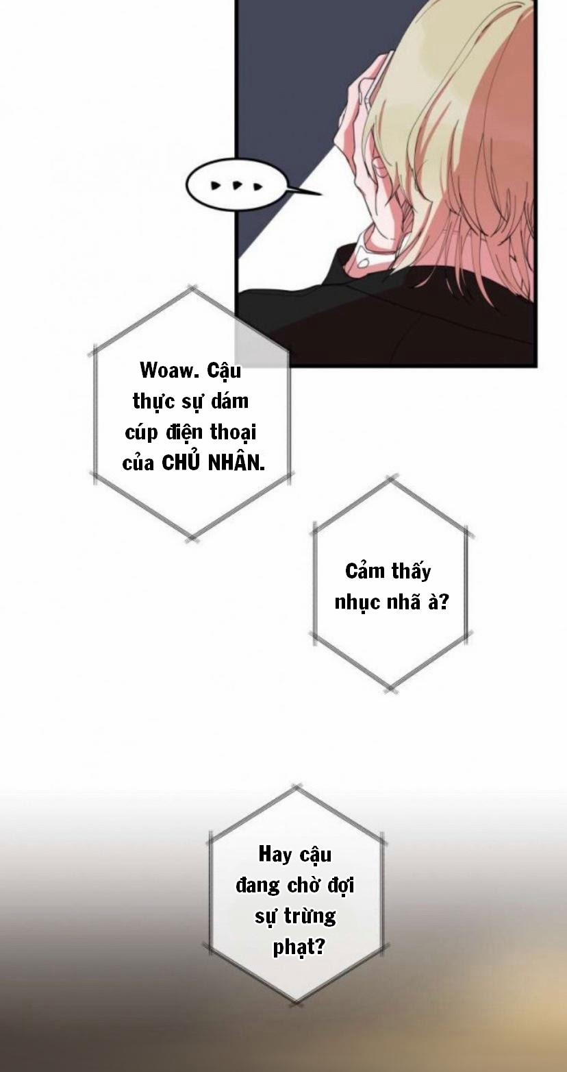 Người Tình Dâm Đãng Của Tôi 3 trang 4