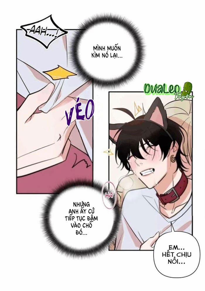 Người Tình Dâm Đãng Của Tôi 30.5 trang 2