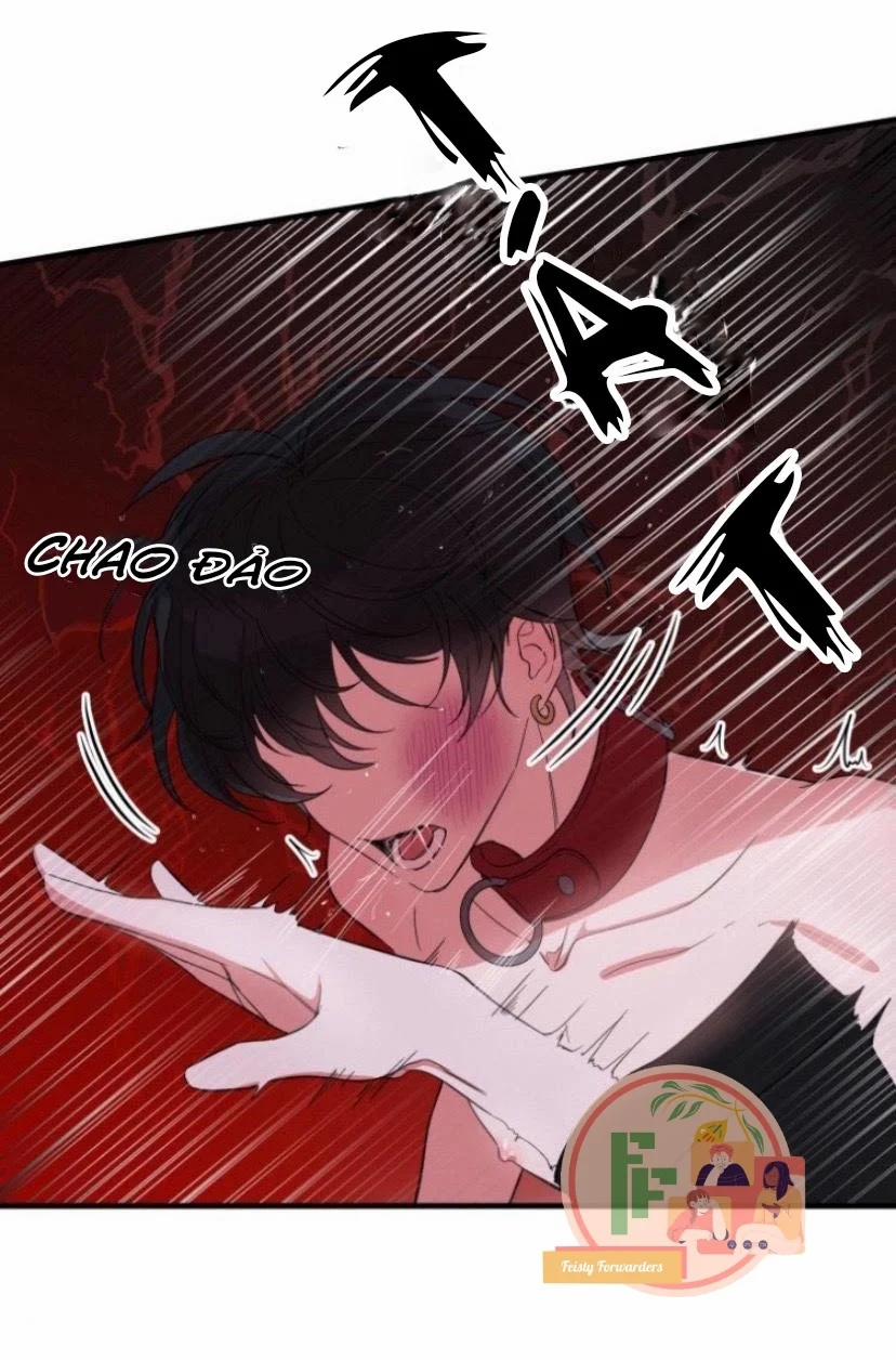 Người Tình Dâm Đãng Của Tôi 4 trang 4