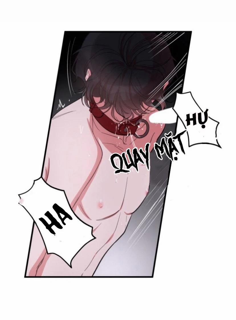 Người Tình Dâm Đãng Của Tôi 4 trang 40
