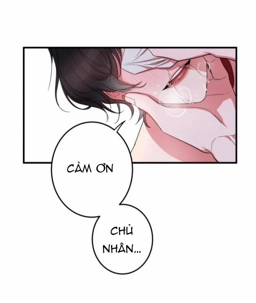 Người Tình Dâm Đãng Của Tôi 4 trang 48