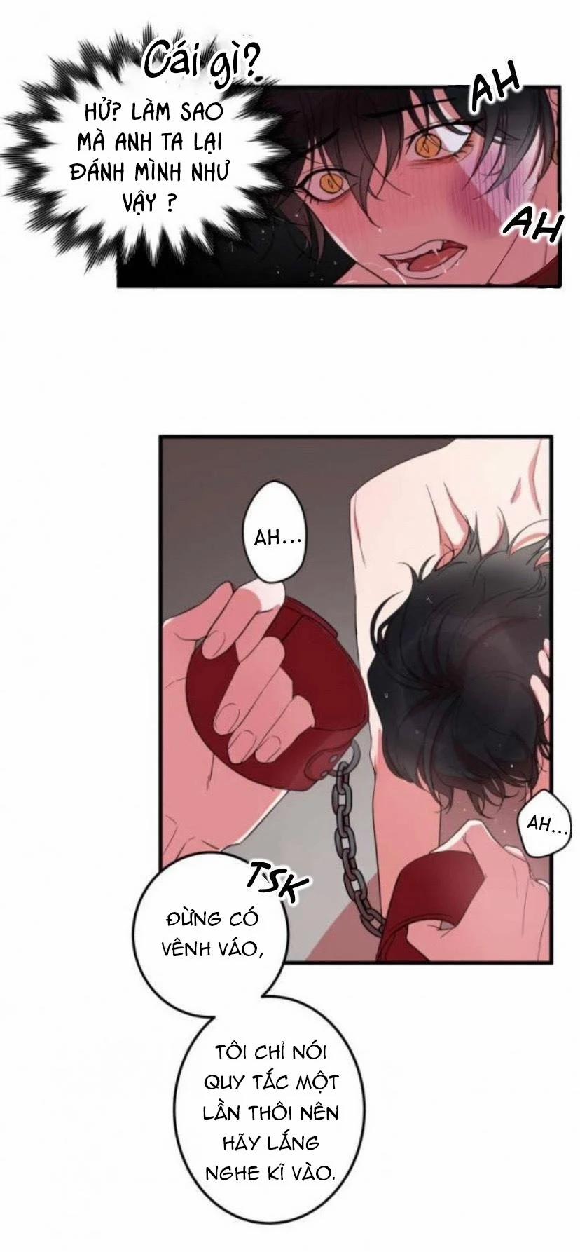 Người Tình Dâm Đãng Của Tôi 4 trang 5