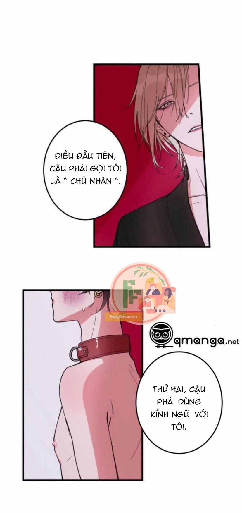 Người Tình Dâm Đãng Của Tôi 4 trang 6