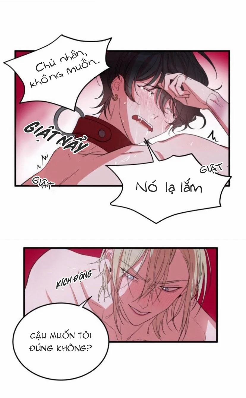 Người Tình Dâm Đãng Của Tôi 5 trang 30