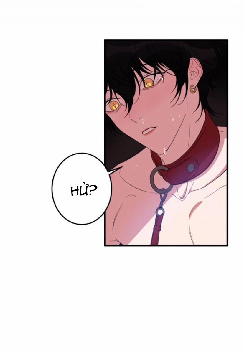 Người Tình Dâm Đãng Của Tôi 7 trang 44