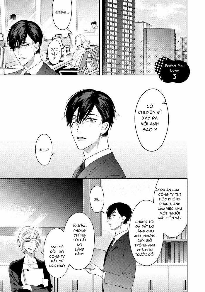 Người tình màu hồng hoàn hảo 3 trang 0